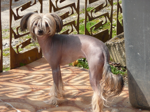 Terynka - 9.4.2008.jpg