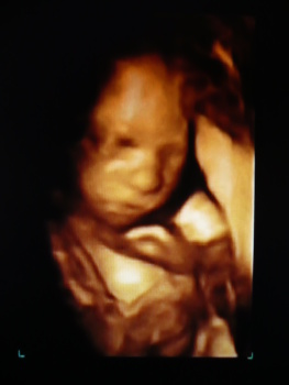 3D - 2. 4. 2008.jpg