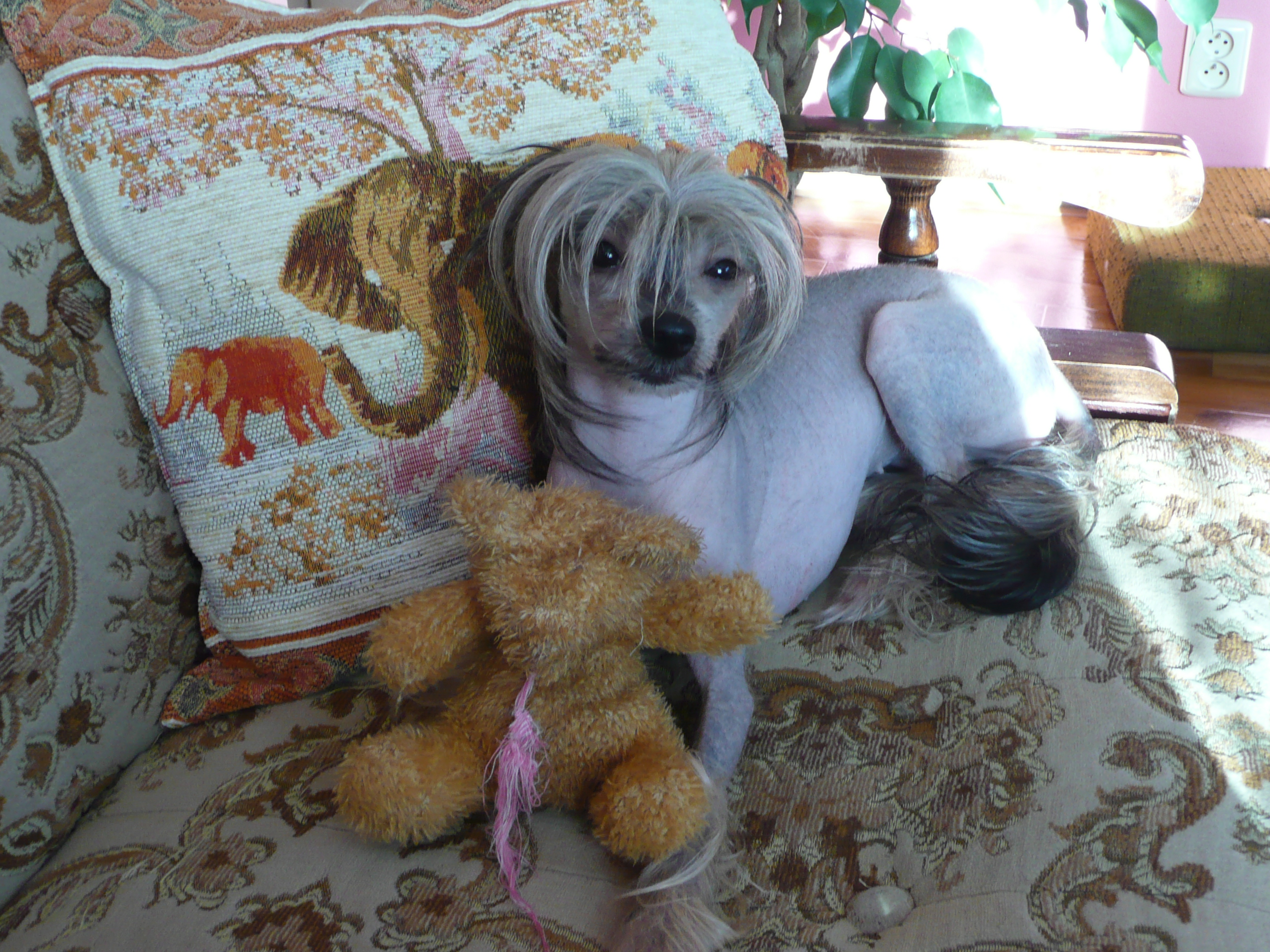 Terynka - 23.1.2008 (2).JPG