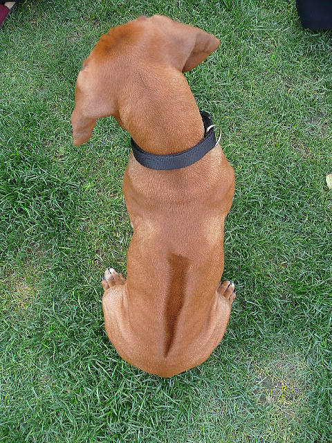 18.9.2010