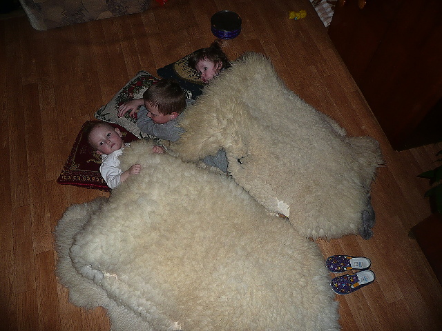 20.3.2010 (5)