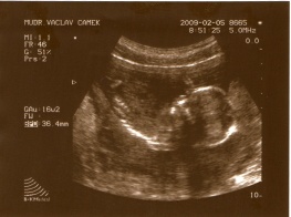 26.2.2008.jpg